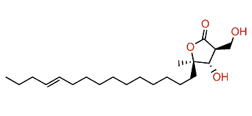 Amphiasterin B1